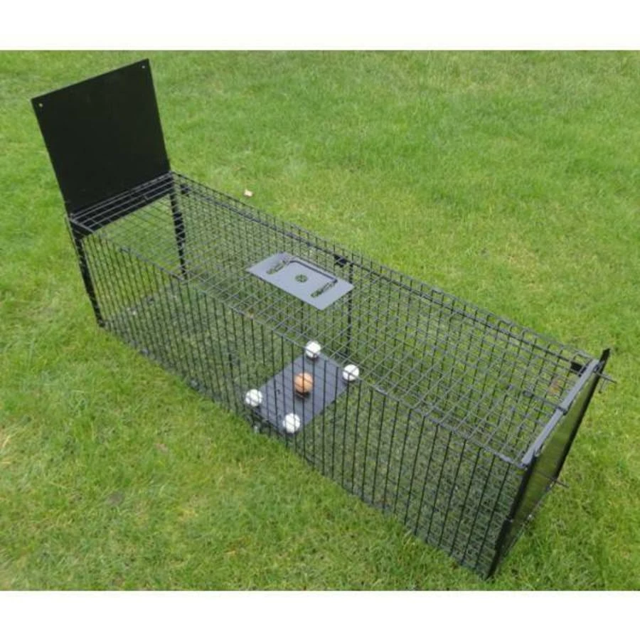 AllesTegenOngedierte.nl Grote 2 Deurs Doorloopval 2 AllesTegenOngedierte.nl Grote 2 Deurs Doorloopval - Afbeelding 2