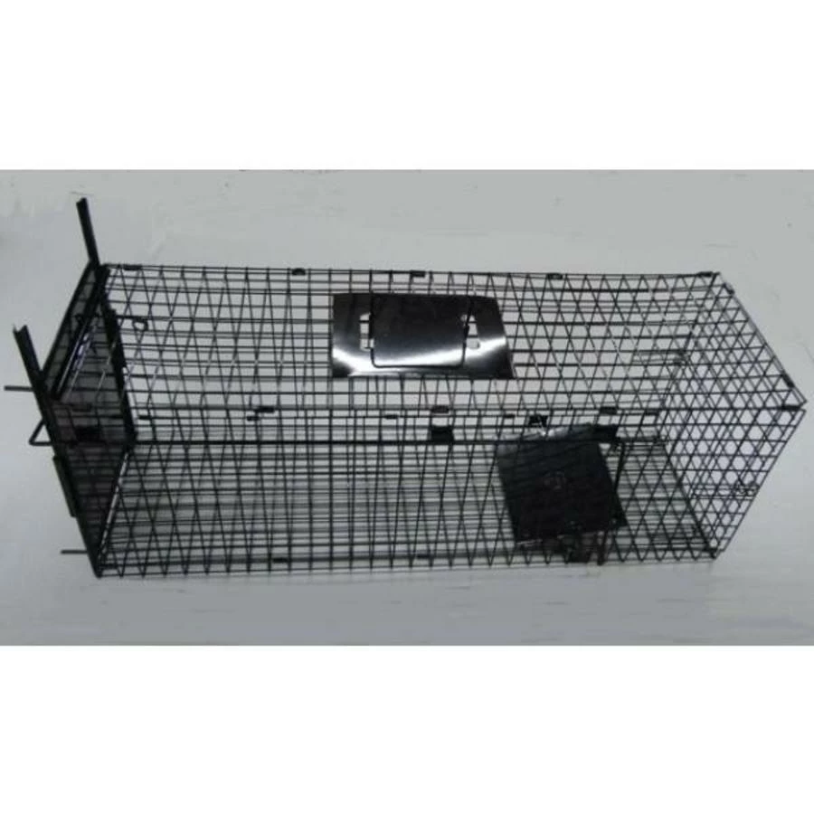 AllesTegenOngedierte.nl Opvouwbare Kattenvangkooi 1 AllesTegenOngedierte.nl Opvouwbare Kattenvangkooi