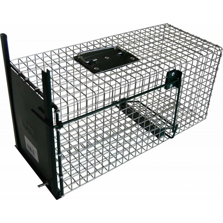 AllesTegenOngedierte.nl Premium 1 Deurs Knaagdieren Vangkooi 1 AllesTegenOngedierte.nl Premium 1 Deurs Knaagdieren Vangkooi