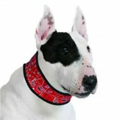 Aqua Coolkeeper Coolkeeper Halsband XL