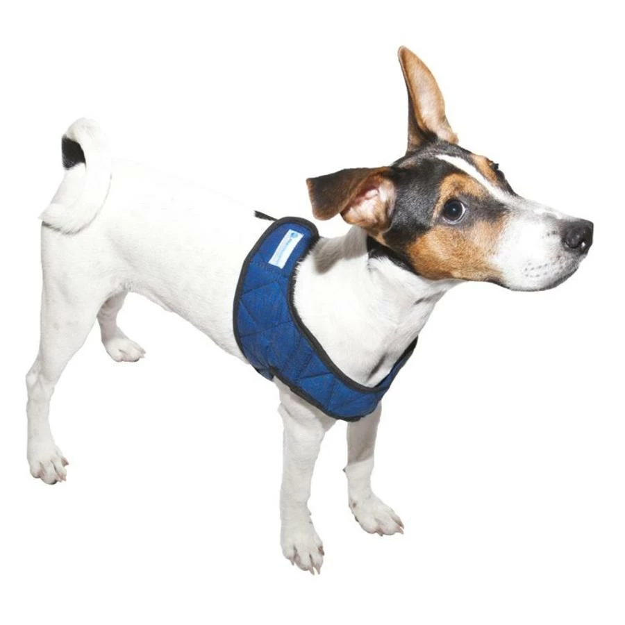 Aqua Coolkeeper Coolkeeper Hondentuig Blauw 2 Aqua Coolkeeper Coolkeeper Hondentuig Blauw - Afbeelding 2