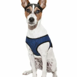 Aqua Coolkeeper Coolkeeper Hondentuig Blauw 5 Aqua Coolkeeper Coolkeeper Hondentuig Blauw -Trixie Winkel aqua coolkeeper coolkeeper hondentuig blauw 2