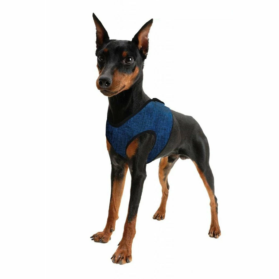 Aqua Coolkeeper Coolkeeper Hondentuig Blauw 1 Aqua Coolkeeper Coolkeeper Hondentuig Blauw