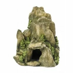 Aqua D'ella Steen Met Mos 19 Cm