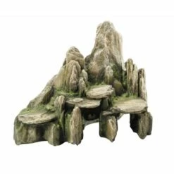 Aqua D'ella Steen Met Mos 26 Cm