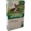 Bayer Advantage Voor Honden 4 Pipetten
