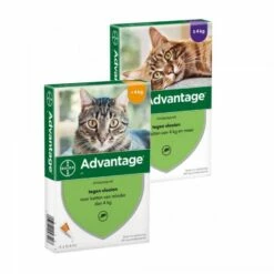 Bayer Advantage Voor Katten 4 Pipetten