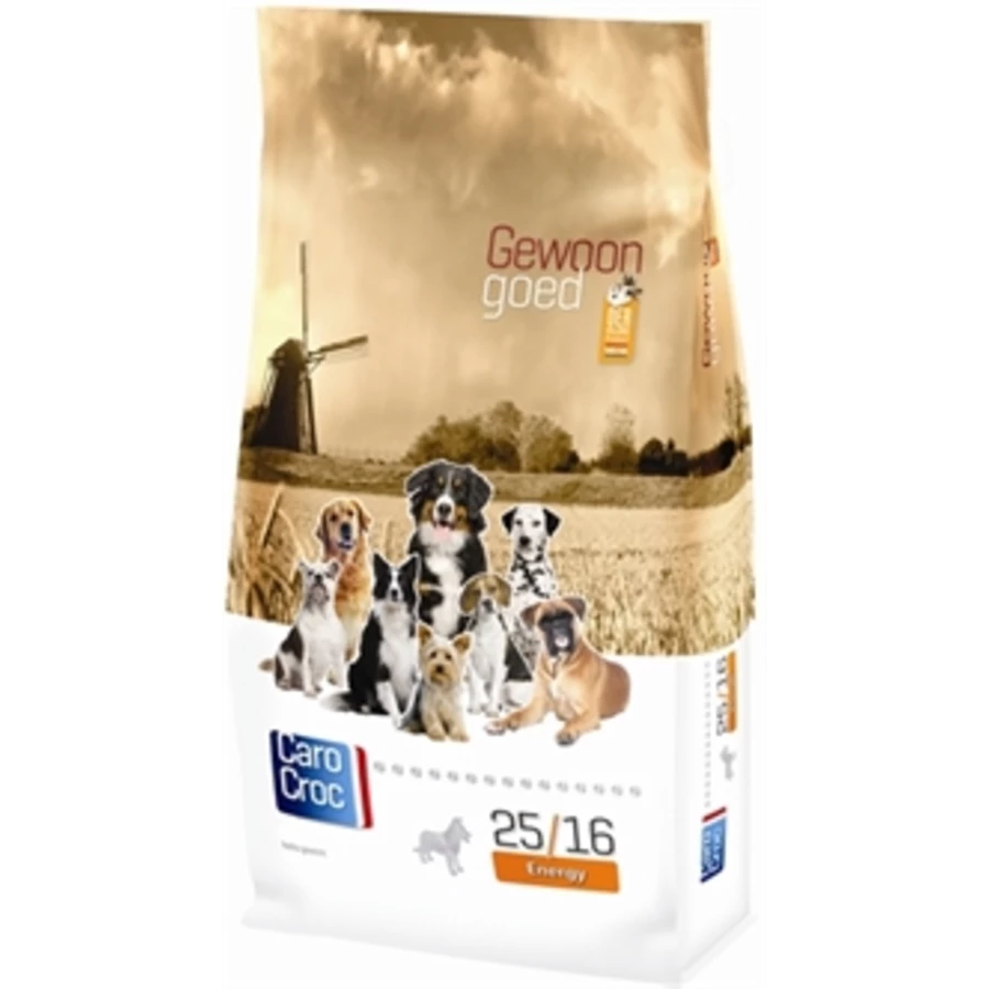 CaroCroc Energy 25/16 1 CaroCroc Energy 25/16