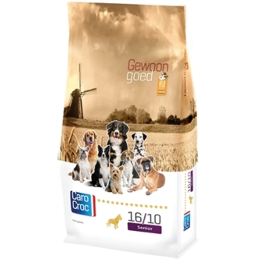 CaroCroc Senior Gold 16/10 1 CaroCroc Senior Gold 16/10