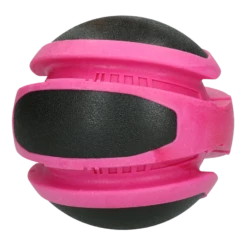 Dog Comets Planet Ballen