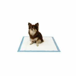 EasyPets Training Pads 6 EasyPets Training Pads -Trixie Winkel easypets training pads 2