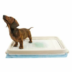 EasyPets Training Pads Houder