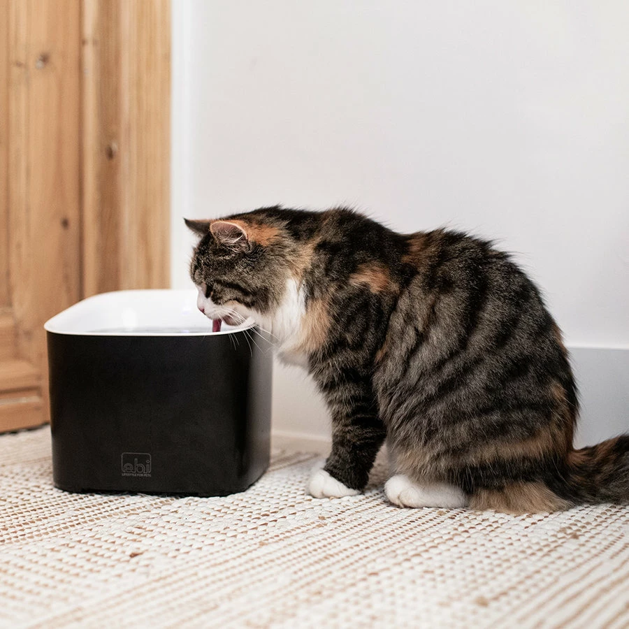 Ebi Manoa Drinkfontein | 3 Liter Inhoud 4 Ebi Manoa Drinkfontein | 3 Liter Inhoud - Afbeelding 4