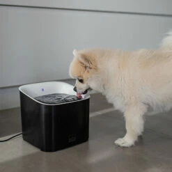 Ebi Manoa Drinkfontein | 3 Liter Inhoud 13 Ebi Manoa Drinkfontein | 3 Liter Inhoud -Trixie Winkel ebi manoa drinkfontein 3 liter inhoud 5