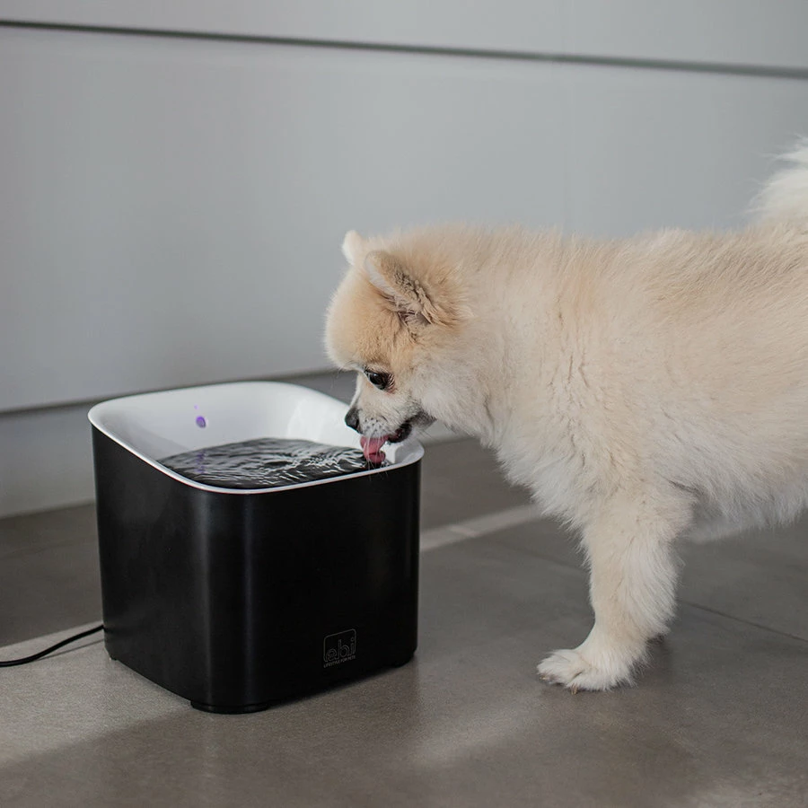 Ebi Manoa Drinkfontein | 3 Liter Inhoud 6 Ebi Manoa Drinkfontein | 3 Liter Inhoud - Afbeelding 6