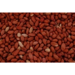 Excellent Gepelde Pinda's 25KG