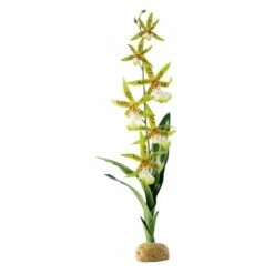 Exo Terra Spinnen Orchidee