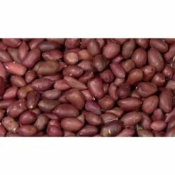 Garvo Gepelde Pinda's 20KG - 5362