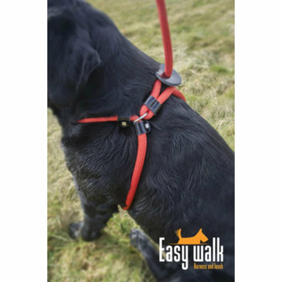 H.A.C. Easy Walk Mini 4 H.A.C. Easy Walk Mini - Afbeelding 4