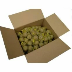 Hadivo 50 Zomer Mezenbollen