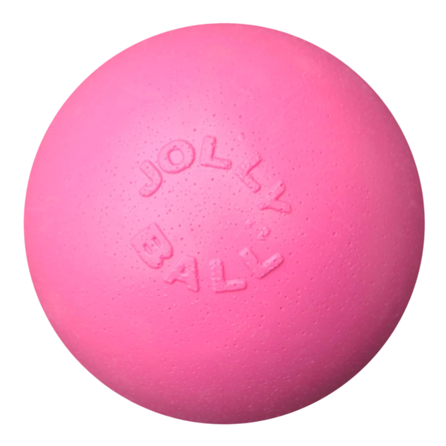 Jolly Pets Ball Bounce-n Play Roze 1 Jolly Pets Ball Bounce-n Play Roze