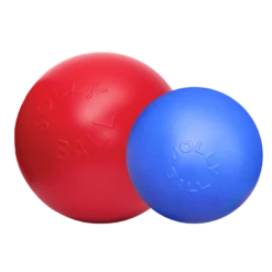 Jolly Pets Ball Push-n-Play