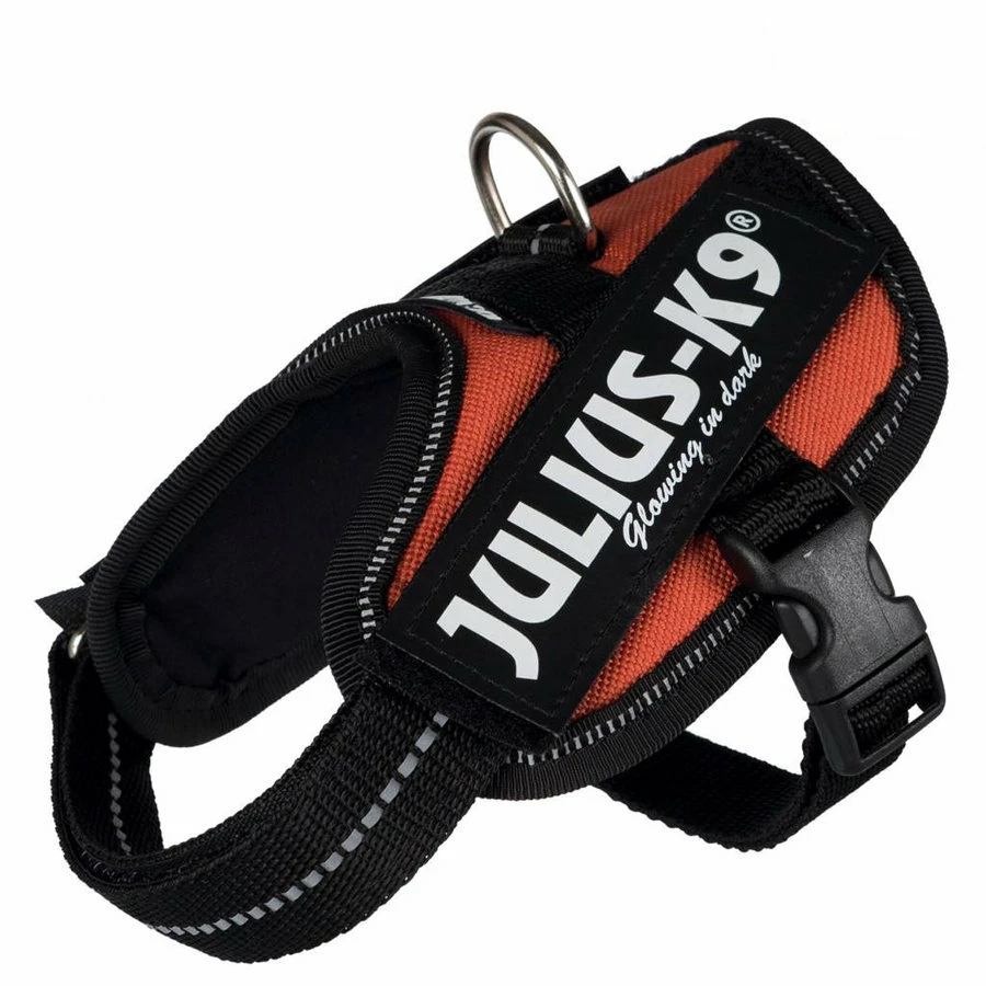 Julius K9 Julius-K9 IDC Powerharness 2 (71-96cm) 2 Julius K9 Julius-K9 IDC Powerharness 2 (71-96cm) - Afbeelding 2