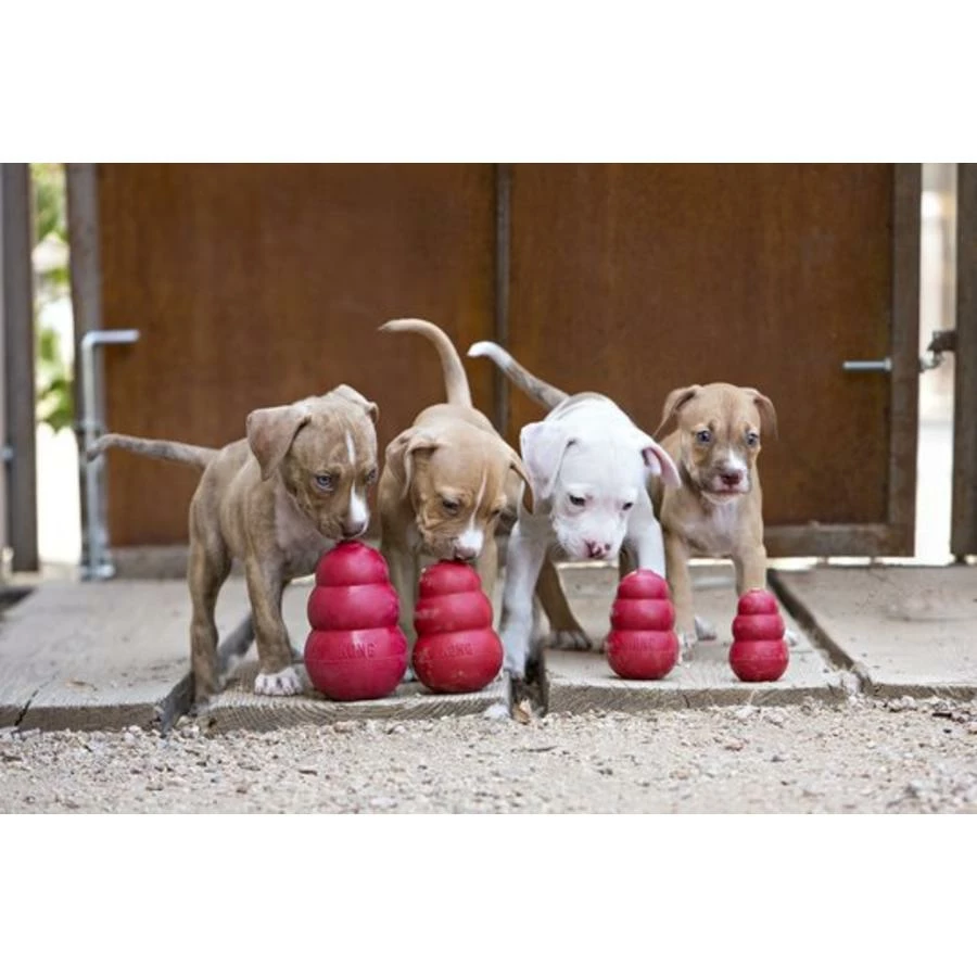 Kong Classic 2 Kong Classic - Afbeelding 2