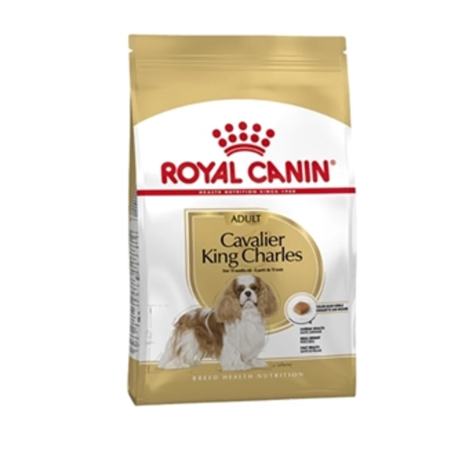 Royal Canin Cavelier King Charles 1 Royal Canin Cavelier King Charles