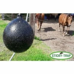 Sticky-Trap Dazenvallen Lijm -Trixie Winkel sticky trap dazenvallen lijm 4