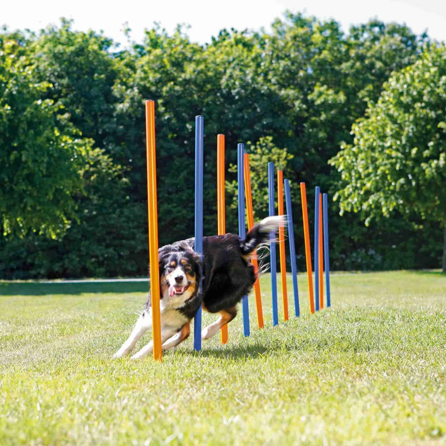 Trixie Fun Agility Slalom 1 Trixie Fun Agility Slalom