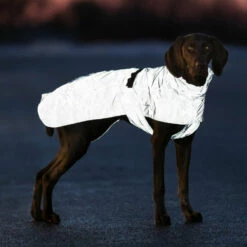 Trixie Regenjas Lunas Reflecterend -Trixie Winkel trixie regenjas lunas reflecterend 2