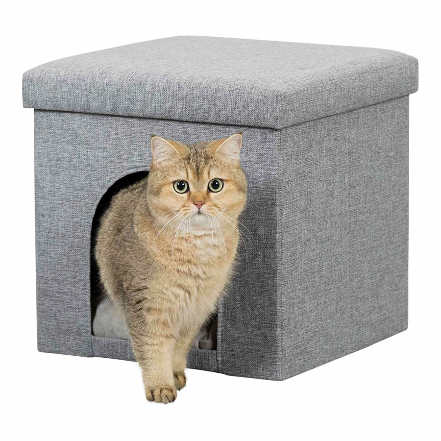 Trixie Schuilplaats Alois 1 Trixie Schuilplaats Alois