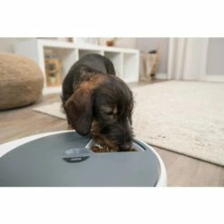 Trixie Voederautomaat TX4+1 | Voor Honden En Katten -Trixie Winkel trixie voederautomaat tx41 voor honden en katten 3