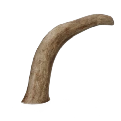 Viking Antler Hard