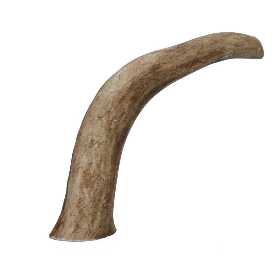 Viking Antler Hard 1 Viking Antler Hard