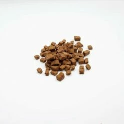 Wielink Hondentrainers Eend Mini