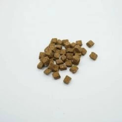 Wielink Hondentrainers Hert Medium