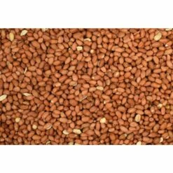 Wielink Pinda’s Gepeld