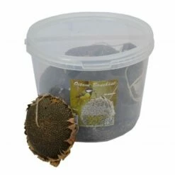 Wielink Zonnebloemkop Zwart 15 Stuks