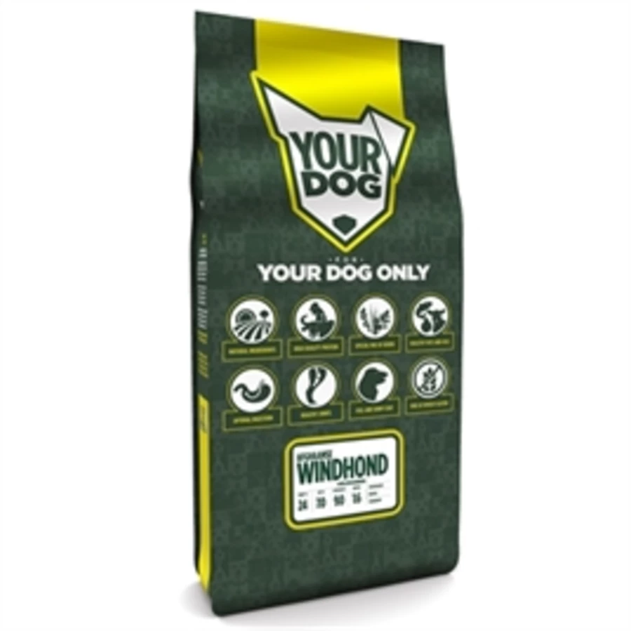 Yourdog Aidi Pup 1 Yourdog Aidi Pup