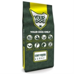 Yourdog Cesky Fousek Puppy
