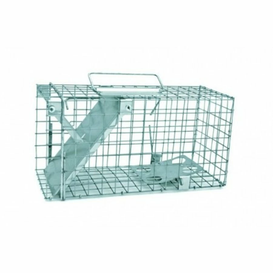 Zielona Lapka 1 Deurs Rattenvangkooi 1 Zielona Lapka 1 Deurs Rattenvangkooi