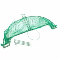 Zielona Lapka Grote Klapval