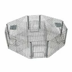 Zielona Lapka Vogel Vangkooi 4 Kamers